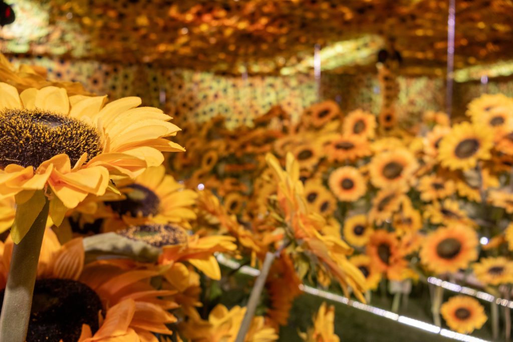 Santiago recibe “Van Gogh en Vivo: La Experiencia Real”