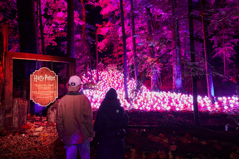 Harry Potter en Santiago: ya están a la venta entradas para el Bosque Prohibido