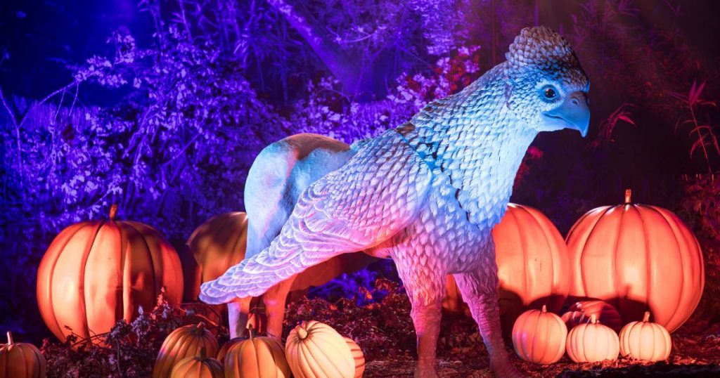 Harry Potter: La Experiencia del Bosque Prohibido debuta en Chile este otoño