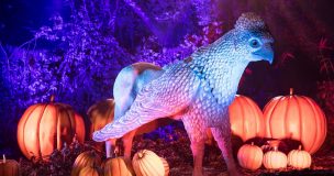 Harry Potter: La Experiencia del Bosque Prohibido debuta en Chile este otoño