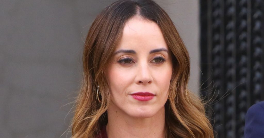 Ministra Sedini defiende Plan de Reconstrucción y critica a oposición por 