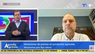 Agenda Agrícola: Cómo se determinan los precios de productos agrícolas en Chile