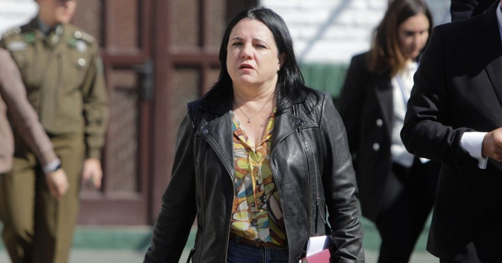 MInistra Steinert enfatiza control migratorio y expulsión de ingresos irregulares a un mes del Gobierno