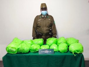 Más de 28 kilos de droga decomisada en Zapallar y La Ligua: dos conductores detenidos
