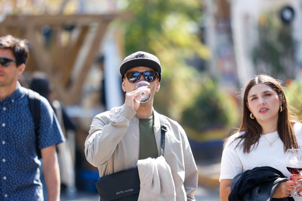 Vendimia Fest llega a Providencia: más de 40 viñas y degustaciones en Avenida Italia