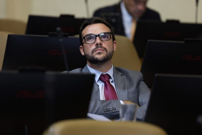 Diputado Neumann: 