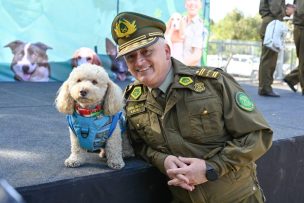 Caminata Canina de Carabineros reúne a miles en Santiago con evento gratuito