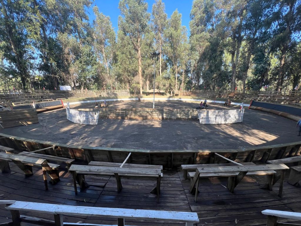 San Vicente de Tagua Tagua será sede de la XIV Final Nacional de Rodeo Femenino