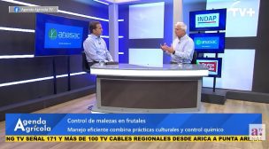 Agenda Agrícola: La importancia del control de malezas en frutales en etapa de postcosecha