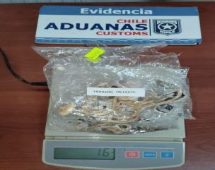 Aduana incauta elementos de seguridad, hongos alucinógenos y droga en paso fronterizo Pino Hachado