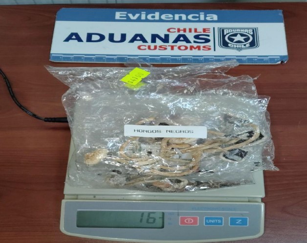 Aduana incauta elementos de seguridad, hongos alucinógenos y droga en paso fronterizo Pino Hachado