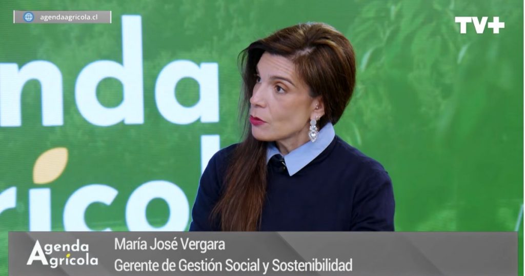 Agenda Agrícola: Red de Alimentos advierte sobre hambre en Chile y llama a misión país