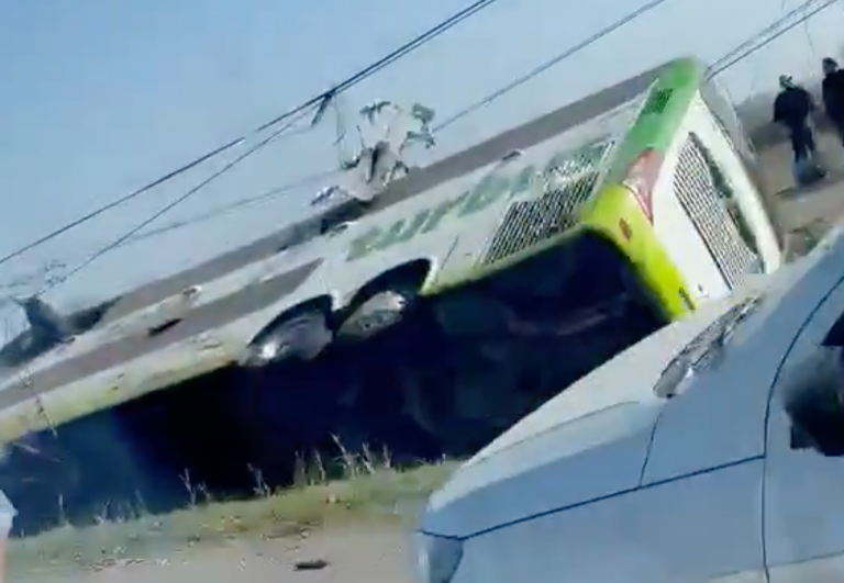 Bus de dos pisos vuelca en al Ruta 5 Sur: Reportan muertos y heridos en Teno