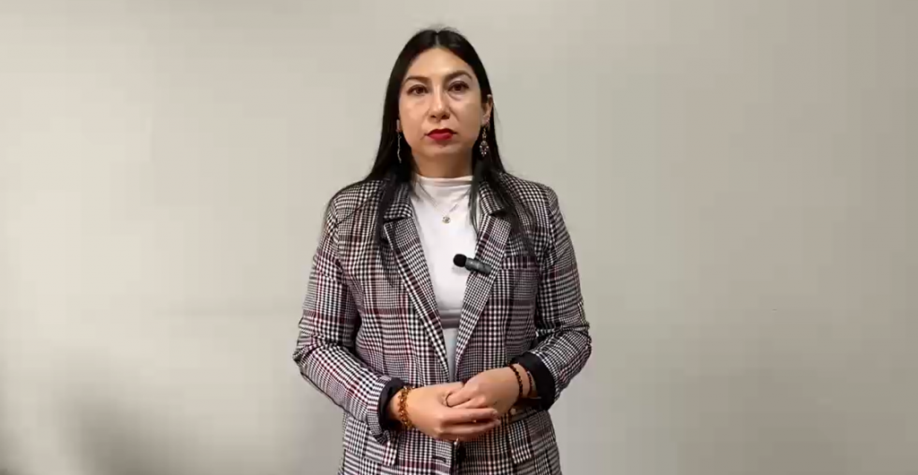 Dir. regional SernamEG Biobío confirma querella para “proteger a la víctima” tras violación grupal