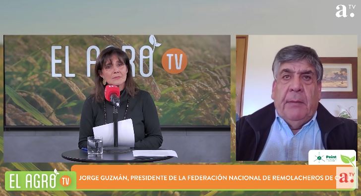 Preocupación en el agro: remolacha enfrenta crisis y avicultura analiza nuevos desafíos