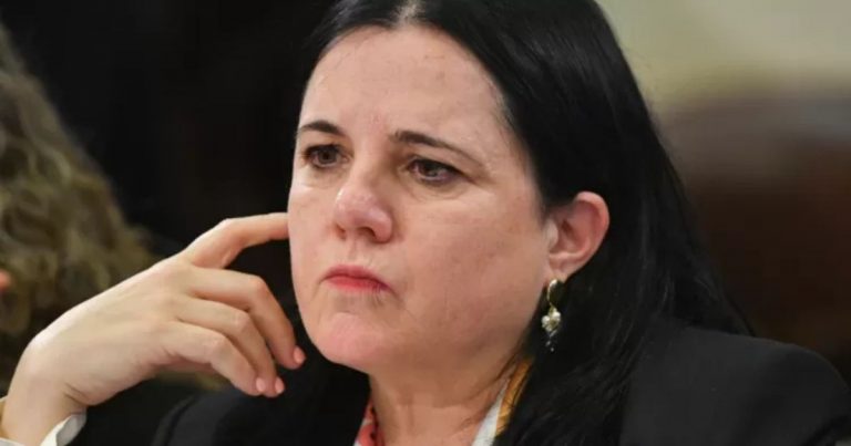 Ministra Steinert tras críticas a presentación en el Congreso: 