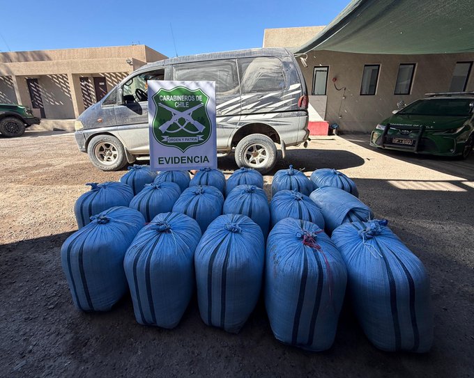 Carabineros descubre más de 384 kilos de hojas de cocaína al interior de vehículo