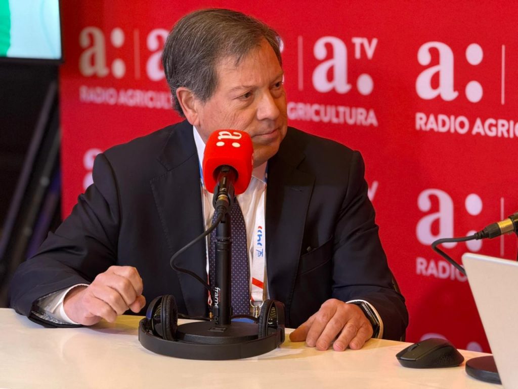 Sonami valora máximo histórico del cobre pero advierte: “La respuesta responsable ahora es producir”