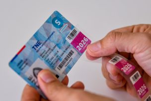 Junaeb informa fecha límite para realizar la revalidación de la TNE: conócela acá