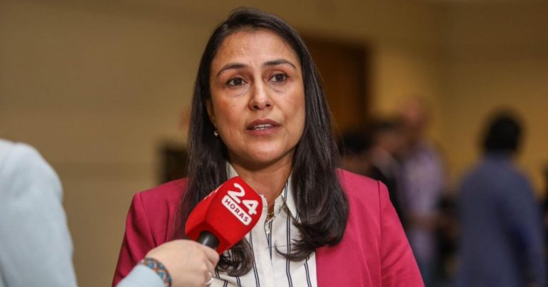 Diputada Francesca Muñoz pide extender alcance de proyecto de concientización de violencia contra la mujer