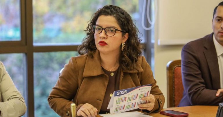 Diputada Valentina Becerra pide a la Superintendencia de Educación fiscalización en traspasos a los SLEP