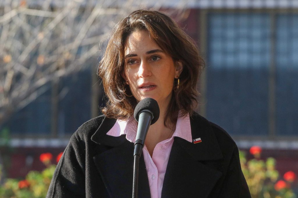 Ministra Wulf por niños haitianos: casos detectados por municipios no corresponden necesariamente a preinforme de Contraloría