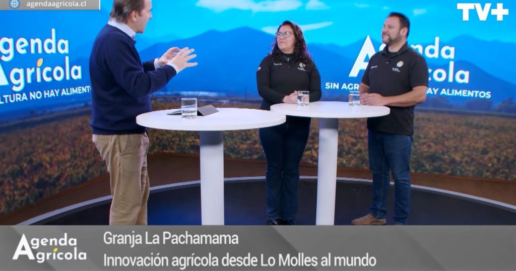 Agenda Agrícola: Expertos abordan el bienestar animal y los efectos positivos en los productos finales