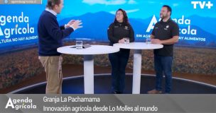 Agenda Agrícola: Expertos abordan el bienestar animal y los efectos positivos en los productos finales