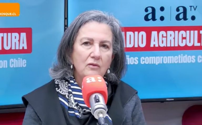 Ministra Chomali por listas de espera: 
