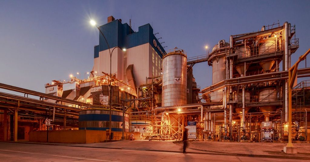 Celulosa Arauco: de empresa forestal chilena a actor global de soluciones renovables