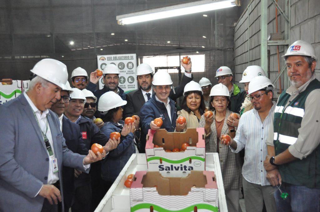 Arica inicia nueva temporada de exportación de tomates a Argentina con envío de 23 toneladas