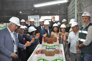 Arica inicia nueva temporada de exportación de tomates a Argentina con envío de 23 toneladas