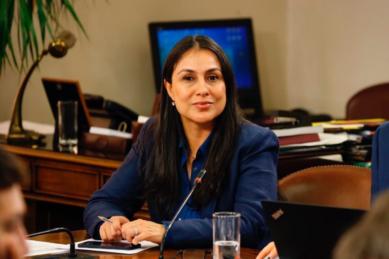 Comisión de Vivienda analiza proyecto que sanciona con 10 años sin subsidios a usurpadores