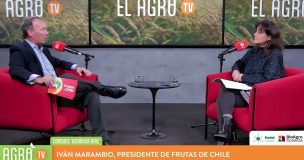 El Agro: Frutas de Chile aborda la oportunidad de nuevos mercados para la fruticultura nacional