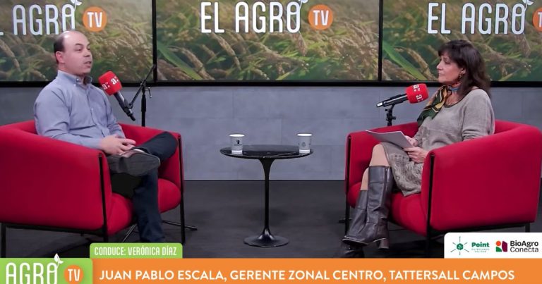 El Agro: Juan Pablo Escala analiza las tendencias y oportunidades de inversión en campos agrícolas