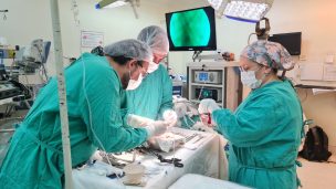 La compleja operación que permitió trasplantar a cinco pacientes al mismo tiempo en Chile
