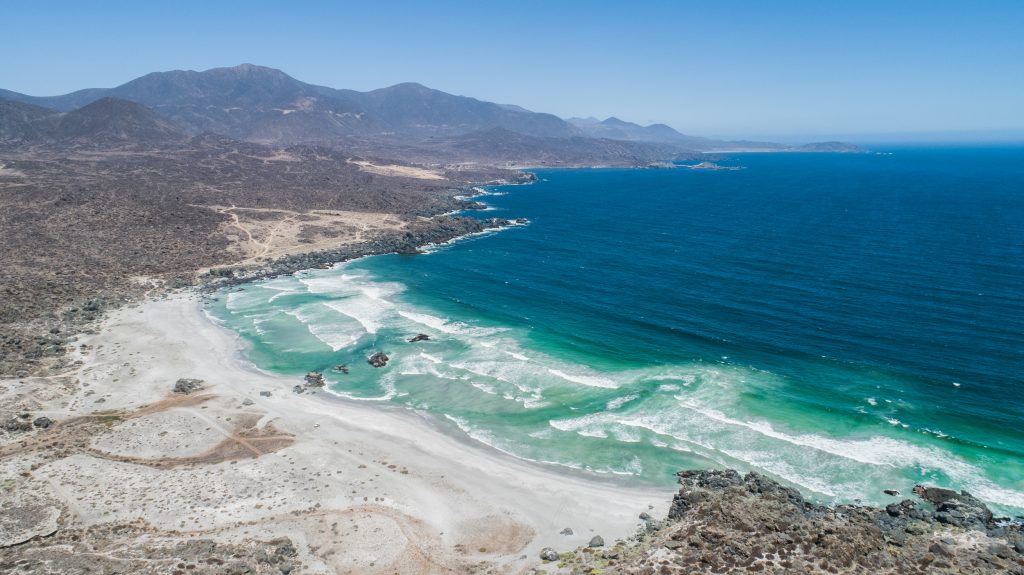 8 de cada 10 chilenos exigen que la conservación marina sea prioridad, según Greenpeace