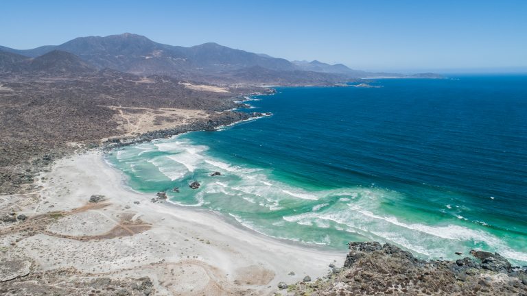 8 de cada 10 chilenos exigen que la conservación marina sea prioridad, según Greenpeace