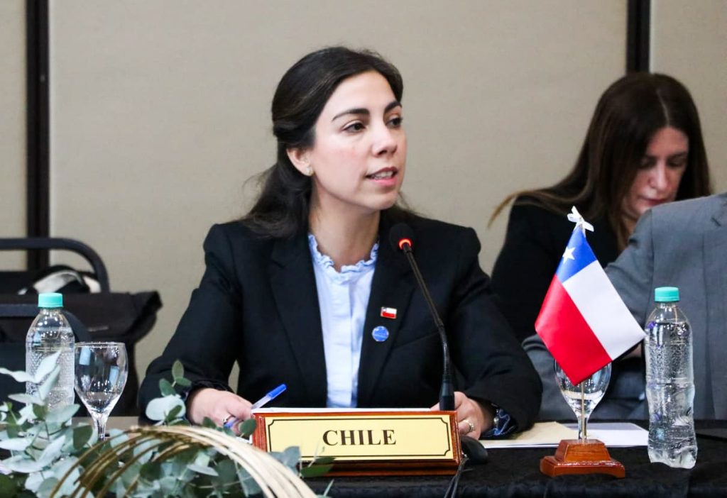 Chile fortalece cooperación regional en reunión de ministros de Salud del Mercosur