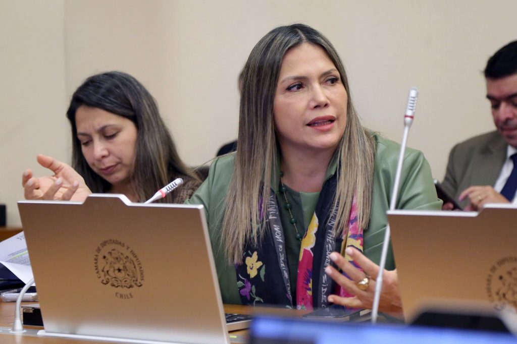 Diputada Marlene Pérez propone que familias puedan elegir entre sala cuna y cuidado infantil en el hogar