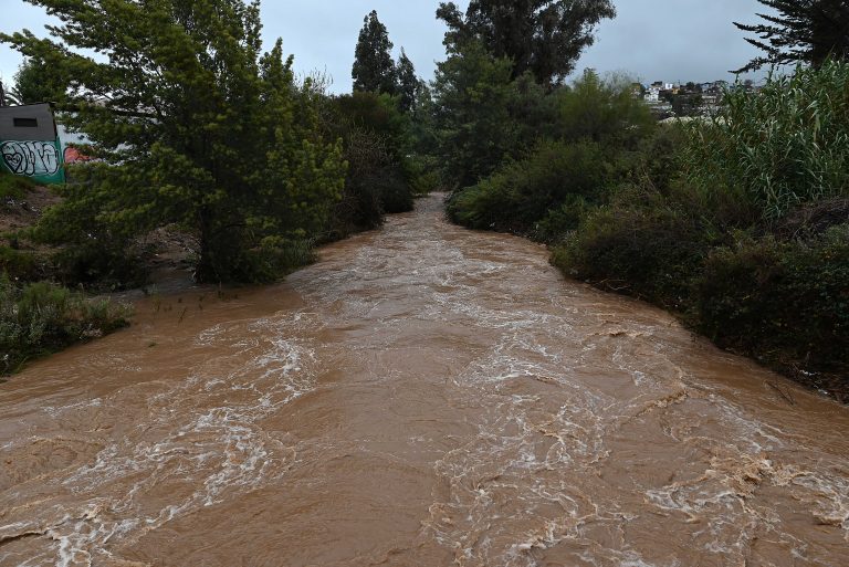 Parlamentarios del Biobío solicitan evaluar decretar emergencia agrícola ante severos efectos del sistema frontal