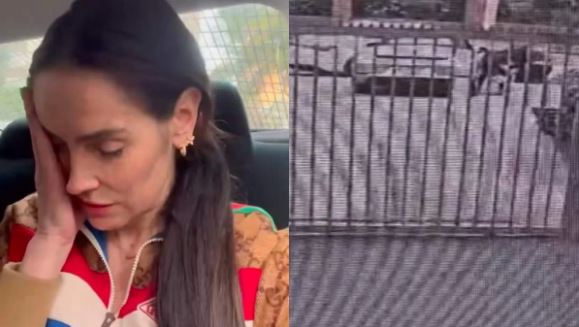 Adriana Barrientos tras sufrir violento portonazo: 