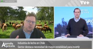 Fedeleche destaca crecimiento del sector lácteo y apuesta por nuevos mercados internacionales