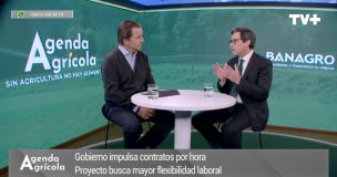 Agenda Agrícola: SNA explica proyecto de contratación por hora y asegura que no significa precarización laboral