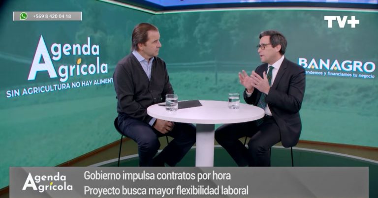 Agenda Agrícola: SNA explica proyecto de contratación por hora y asegura que no significa precarización laboral