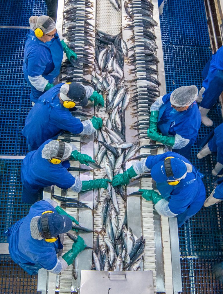 Pescadores Industriales del Biobío consolida liderazgo ambiental con enfoque en producción sostenible, cuidado del entorno y economía circular