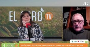 El Agro: José Miguel Stegmeier aborda los efectos del sistema frontal y estado de las cosechas