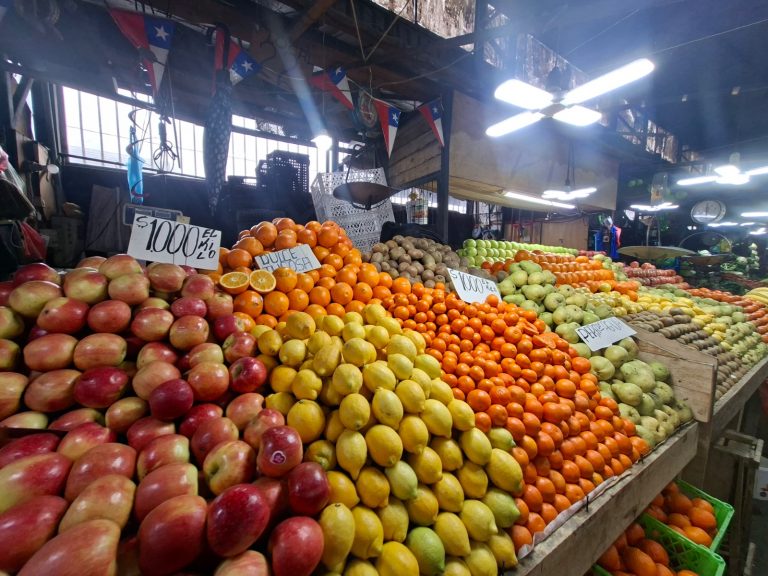 Gobierno monitorea abastecimiento de frutas y verduras en Biobío tras intensas lluvias