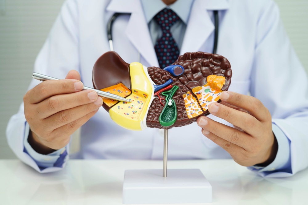 Hígado graso: estos son los hábitos que ayudan a prevenir y revertir la enfermedad silenciosa