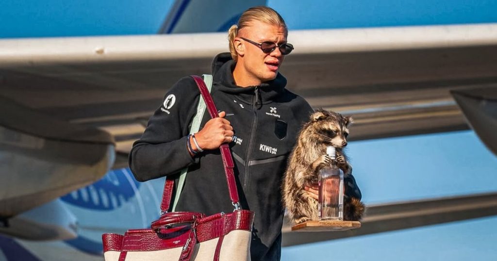 Erling Haaland Aterriz En Noruega Con Un Mapache Disecado Tras Quedar erling-haaland-aterriz-en-noruega-con-un-mapache-disecado-tras-quedar